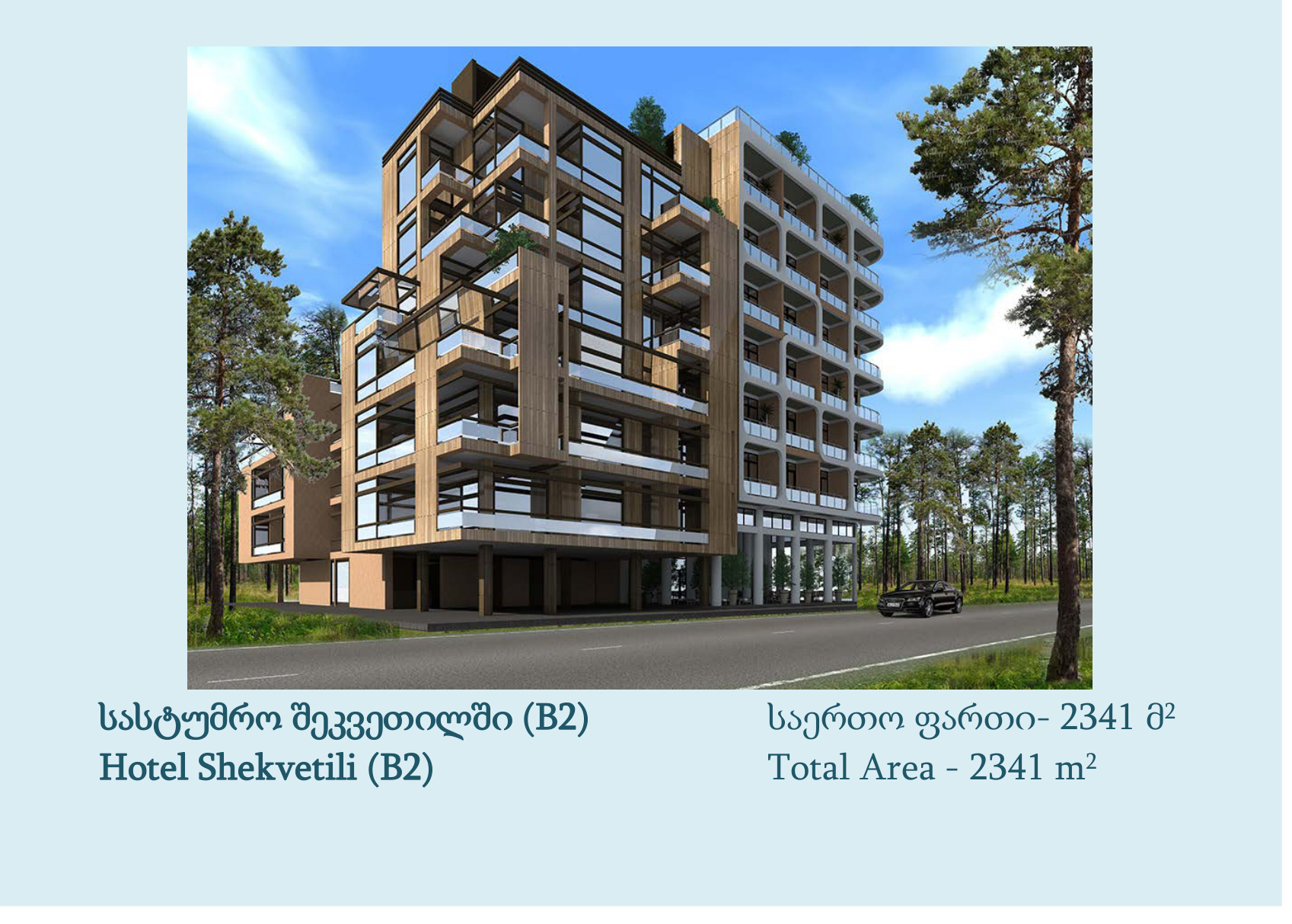 Hotel Shekvetili B2